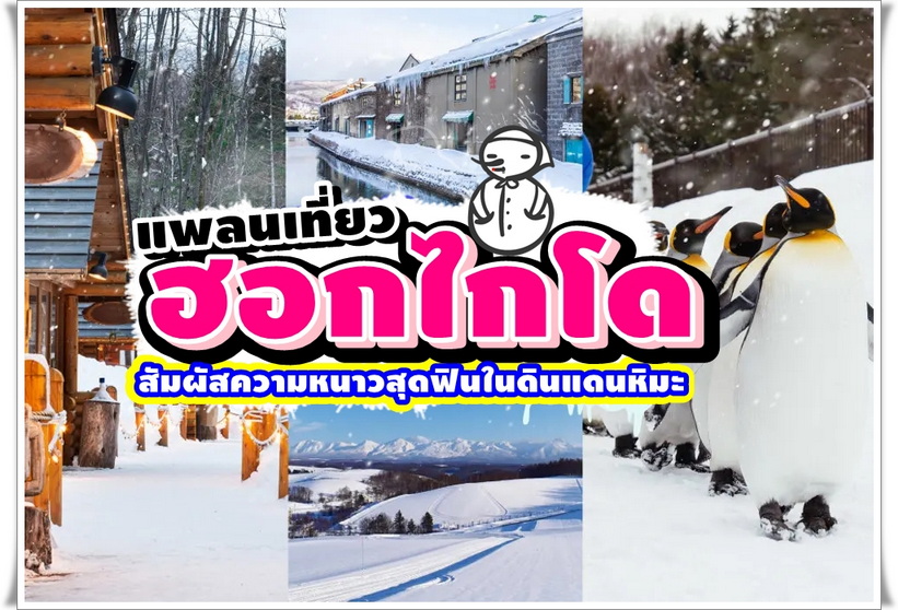 แพลนเที่ยวฮอกไกโด สัมผัสความหนาวสุดฟินในดินแดนหิมะ